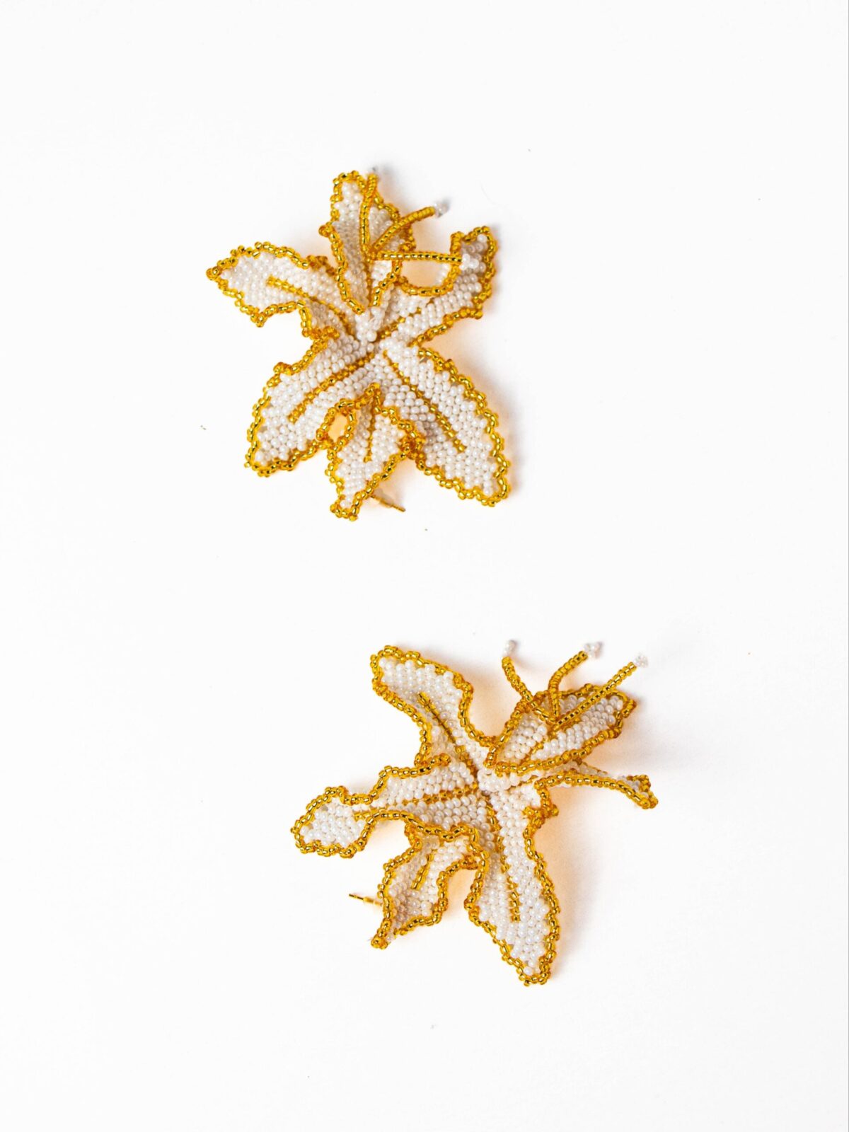 Aretas Orquídeas Blancas en Camelia La Ceja